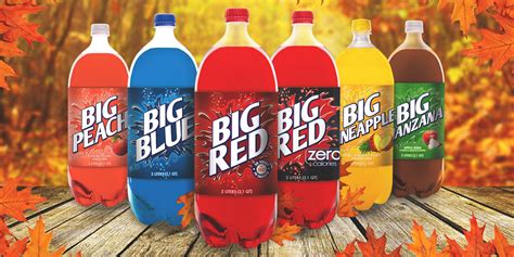 10 Things You Didnt Know About Big Red Soda