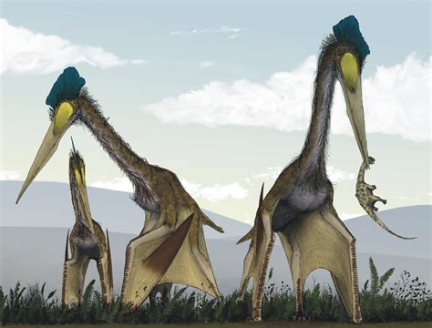 Toothless ‘dragon Pterosaurs Dominated The Late Cretaceous Skies Heritagedaily Heritage