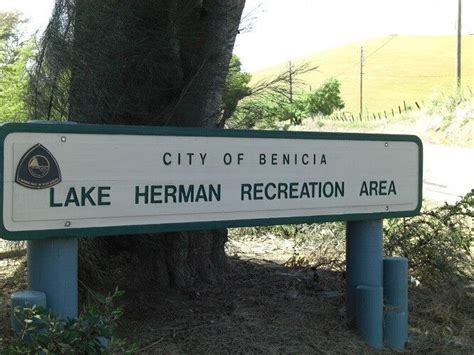 Lake Herman Benicia CA Gets Reel I Was Good To Finally Get Out And