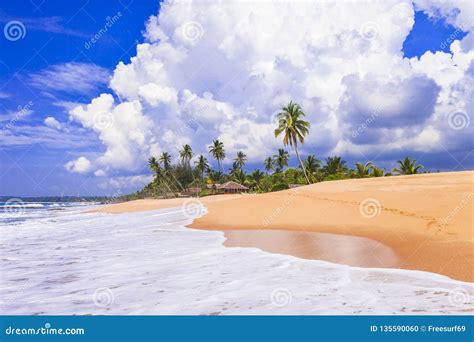Beautiful Wild Beaches Of Sri Lanka Tranquil Tangale South Of Island
