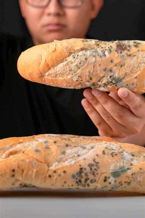 White Bread Mold Explained Different Types And How To Identify Them