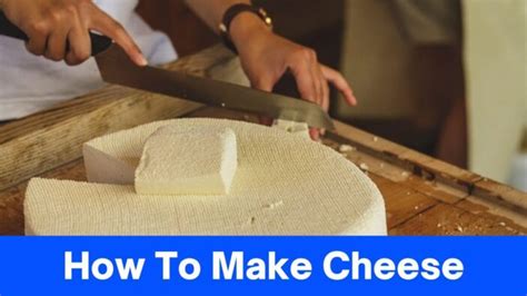 Master The Art Of How To Make Cheese A Step By Step Guide 2023