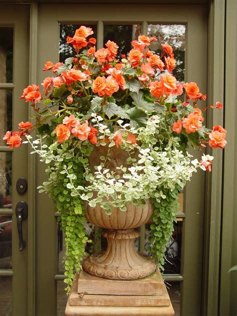 Container Gardens Container Flowers Container Plants Container