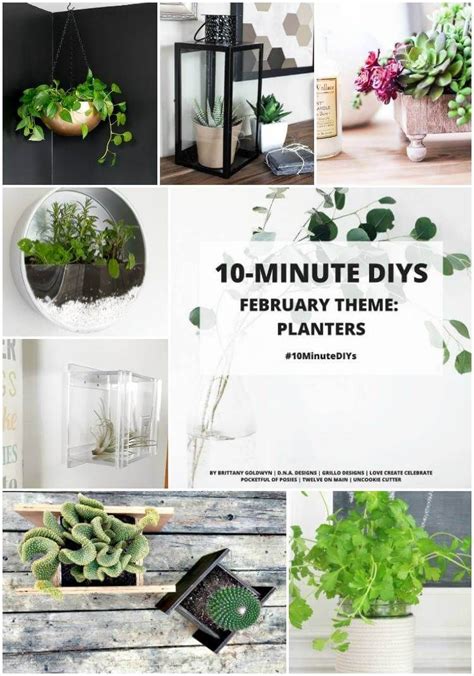 Mason Jar Herb Planters 10 Minute Diy Indoor Herb Planter Herb