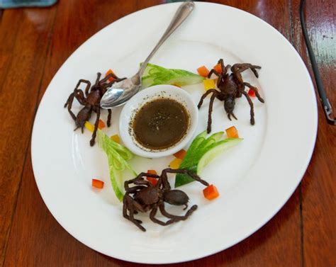 Fried Tarantula Wired For Adventure