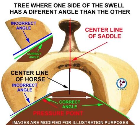 5 Tips For Western Saddle Fit Artofit