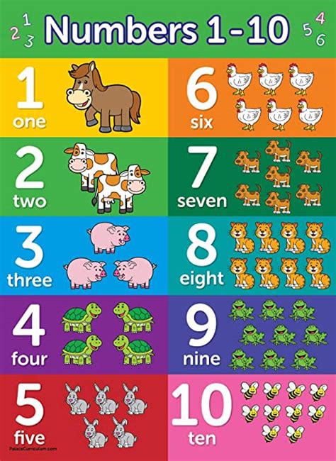 Numbers 1 10 Poster Chart Laminated 18 X 24 Double Sided Poster Home And Kitchen