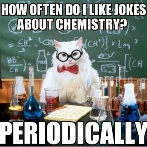 Another Awesome Pun Science Lol Humor Cats Nerdy Jokes