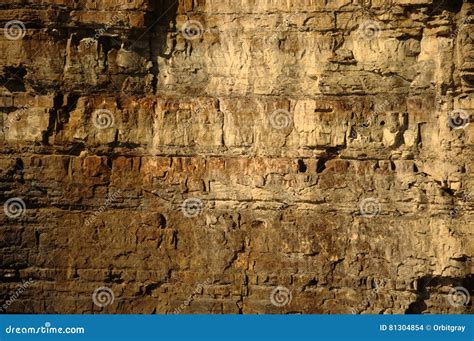 Cliff Wall Stock Photo Image Of Bedrock Texture Tasmania 81304854