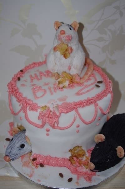 Rat Cake — Birthday Cakes Pretty Birthday Cakes Cute Birthday Cakes