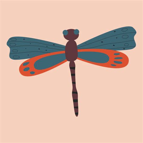 200 Simple Dragonfly Clip Art Stock Illustrations Royalty Free Vector