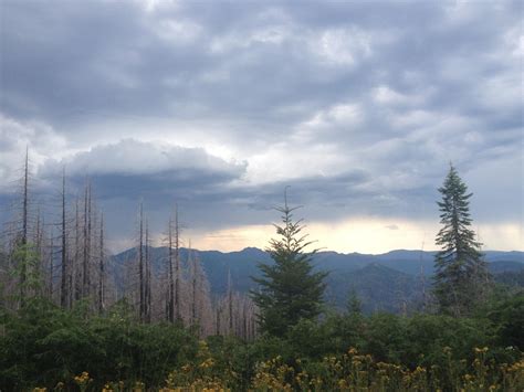 Umpqua Natl Forest On Twitter Beautiful View Of A Thundercell On The