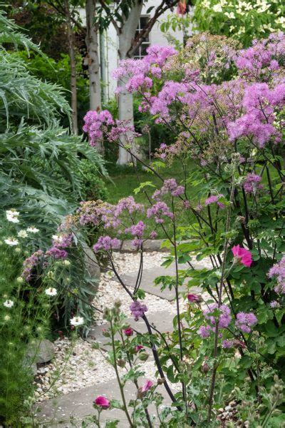 10 Garden Planting Ideas For Small Gardens The Middle