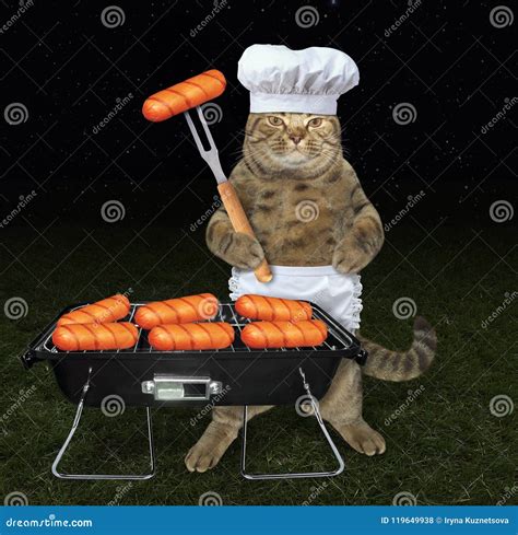 Cat Cooks Sausages On Grill Stock Photo Image Of Party Roasted