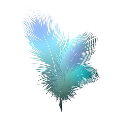 Feather Png Png All Png All