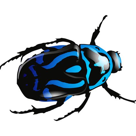 Tick Insect Free Png Clip Art Png Play