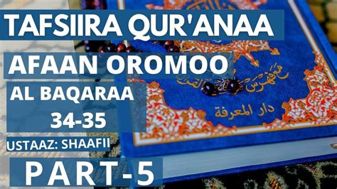 Tafsiira Quraana Afaan Oromoo Al Baqaraa 3435 Ustaaz Shaafii Youtube