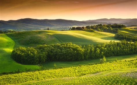 Tuscany Nature Landscape Summer Trees 4k Green Field Field Sky