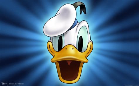 Support us by sharing the content, upvoting wallpapers on the page or sending your own background pictures. Donald Duck Wallpapers - Wallpaper Cave