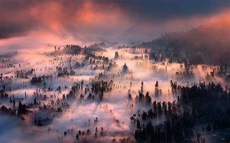 1920x1200 Nature Landscape Sunrise Forest Mist Mountain Clouds Valley