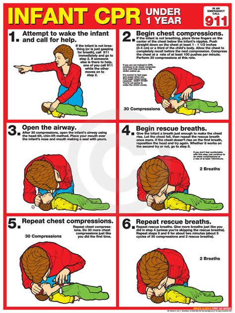 8 Best Images Of Printable Cpr Chart Free Printable Cpr Chart Free