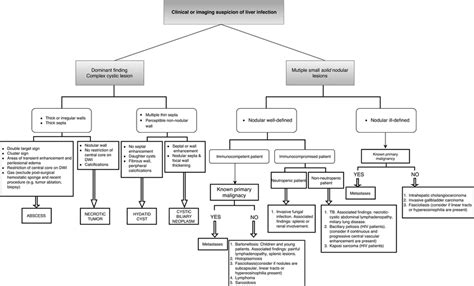 Flowchart Shows Differential Diagnosis When There Is Clinical Or Download Scientific Diagram