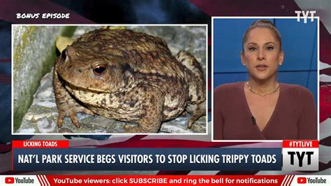 National Park Service Warns Stoners To Stop Licking Sonoran Desert Toads National Park Service