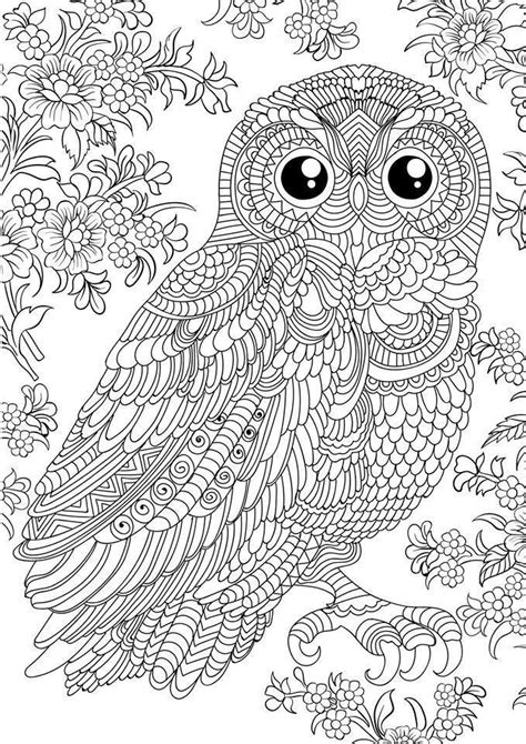 Top 23 Printable Owl Coloring Pages For Adults Best