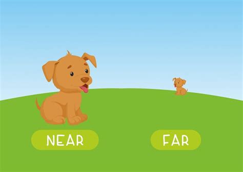 Premium Vector | Near and far with a dog