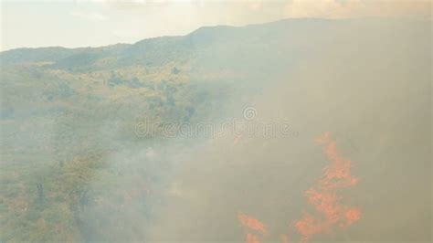 Forest Fire In The Rainforest Boholphilippines Stock Video Video