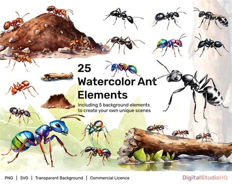 Watercolor Clipart Ants Ant Clip Art Svg Png Aquarelle Ant Etsy Uk