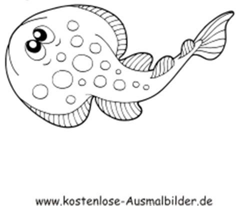 Seestern, auch als seesterne genannt, sind schöne sternförmige meerestiere. Ausmalbilder Plattfisch 1 - Tiere zum ausmalen | Malvorlagen Fische
