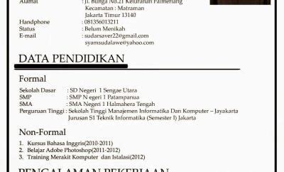 Kumpulan cv ini dapat kamu gunakan sebagai referensi untuk melamar kerja, melamar organisasi. Contoh Curriculum Vitae Non Pengalaman - Gawe CV