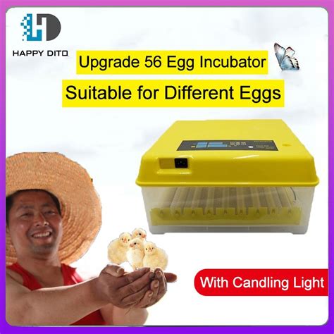 220v 11256 Eggs Incubator Digital Automatic Egg Incubator Fully