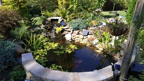 Use 3 rigid pipe from drain to sieve. 35 gallon wate tub with fountain and large koi pond with ...