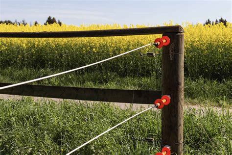 The voltage of the shock may have effects ranging from uncomfortable. Electric fencing at turnout - The Fence & Best Set-up for You