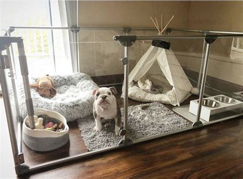 Pin By Candn On Home Dog Room Decor Dog Bedroom Puppy Room
