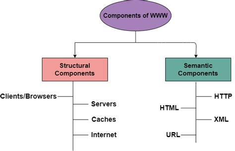 World Wide Web Studytonight