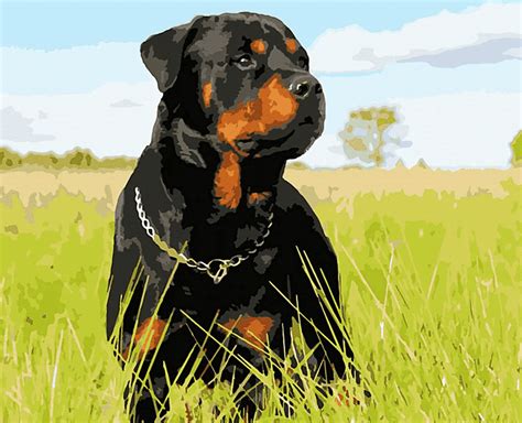 Paint By Numbers Kit Rottweiler Dog Just Paint By Number
