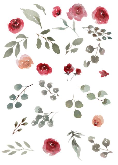 Free Image on Pixabay - Watercolor, Watercolor Roses | Watercolor rose, Rose illustration ...