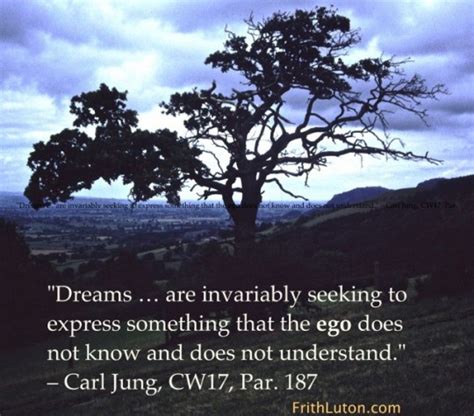 dreams quote from carl jung