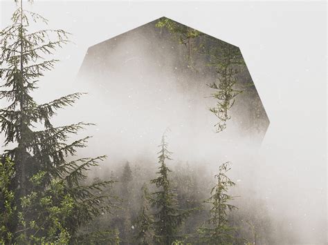 Cloudy Forest Geometric Landscapes By Camille Mollier On Dribbble