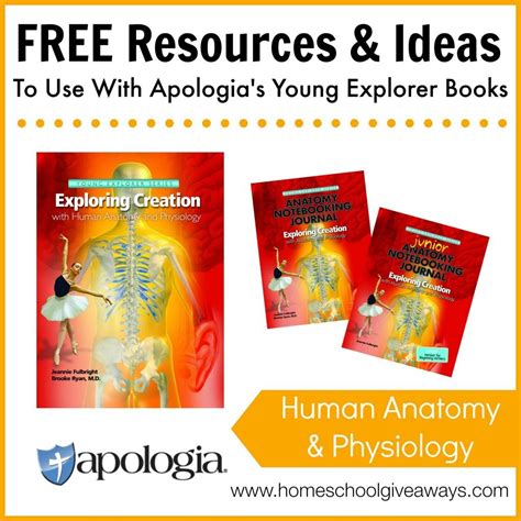 Free Resources And Ideas To Use With Apologias Young Explorer Books