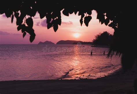 Pink Sunset In Thailand On The Beach With Mountains Stock Photo Image