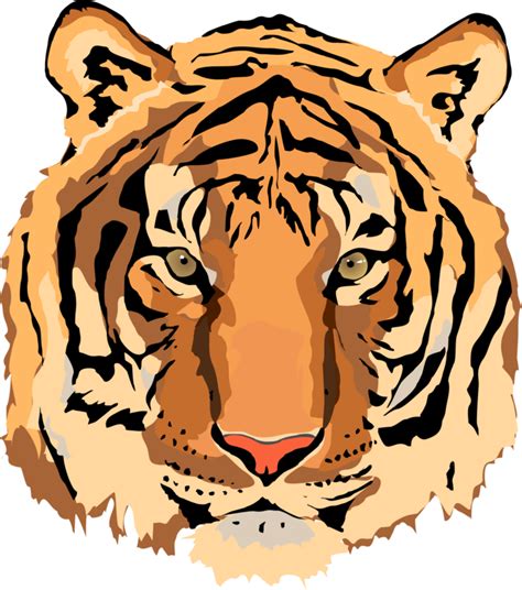 Tiger Vector Art ClipArt Best