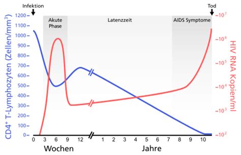 Das geht aus dem lagebericht der gesundheitsverwaltung. AIDS - Wikipedia