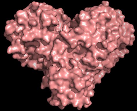 X Rays Size Up Protein Structure At The Heart Of Covid 19 Virus Lab