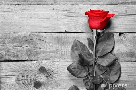 Papier peint Rose rouge sur fond de bois noir et blanc • Pixers® - Nous