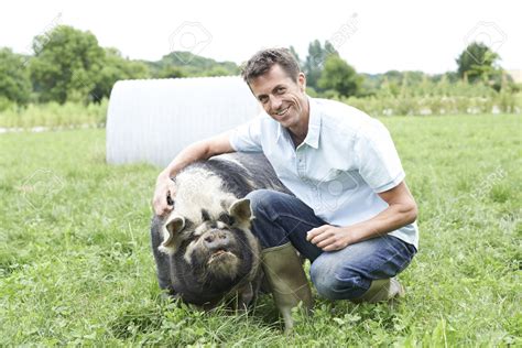 Portrait Of Farmer In Field With Pig Alberta Pork
