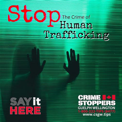 stop the crime of human trafficking theme for crime stoppers month crime stoppers guelph